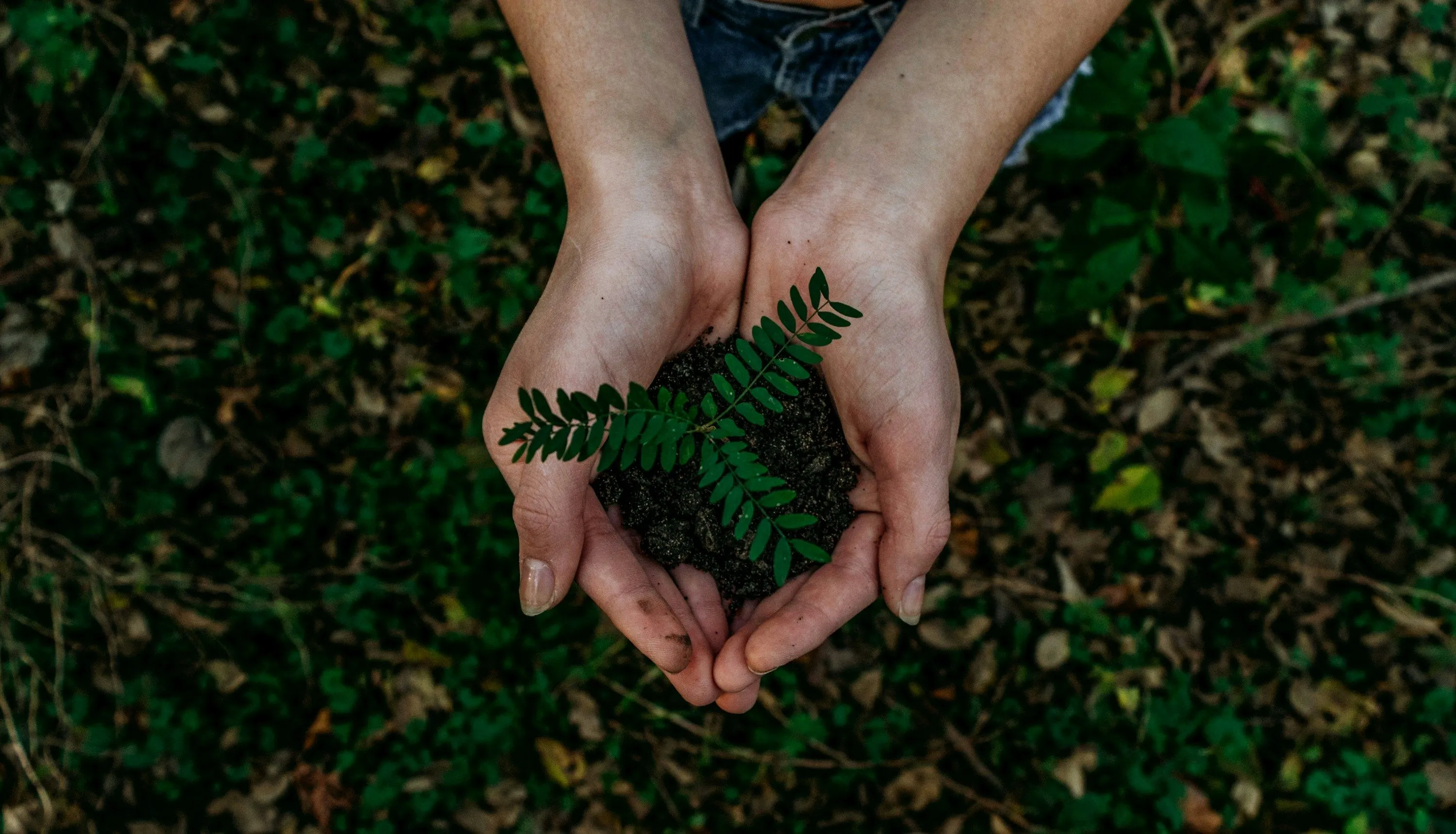 noah-buscher-x8ZStukS2PM-unsplash.jpg